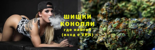 твердый Бородино