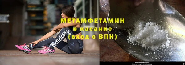 твердый Бородино