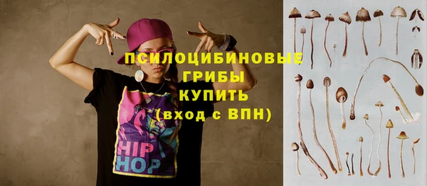 твердый Бородино