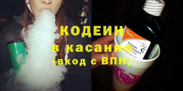 твердый Бородино