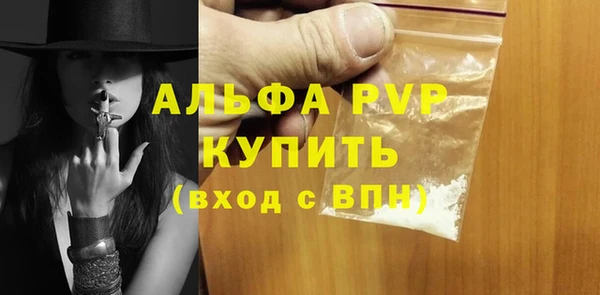 твердый Бородино